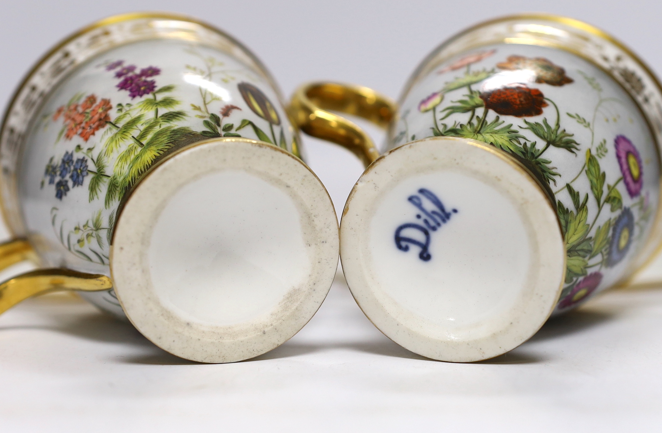 A pair of early 19th century Paris porcelain botanical cups and saucers, one signed Dihl, 9cm high